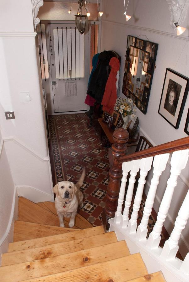 Muswell Hill B&B Лондон Екстериор снимка